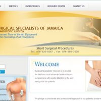 Website Portfolio Page 4